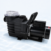 LX Pool Pump