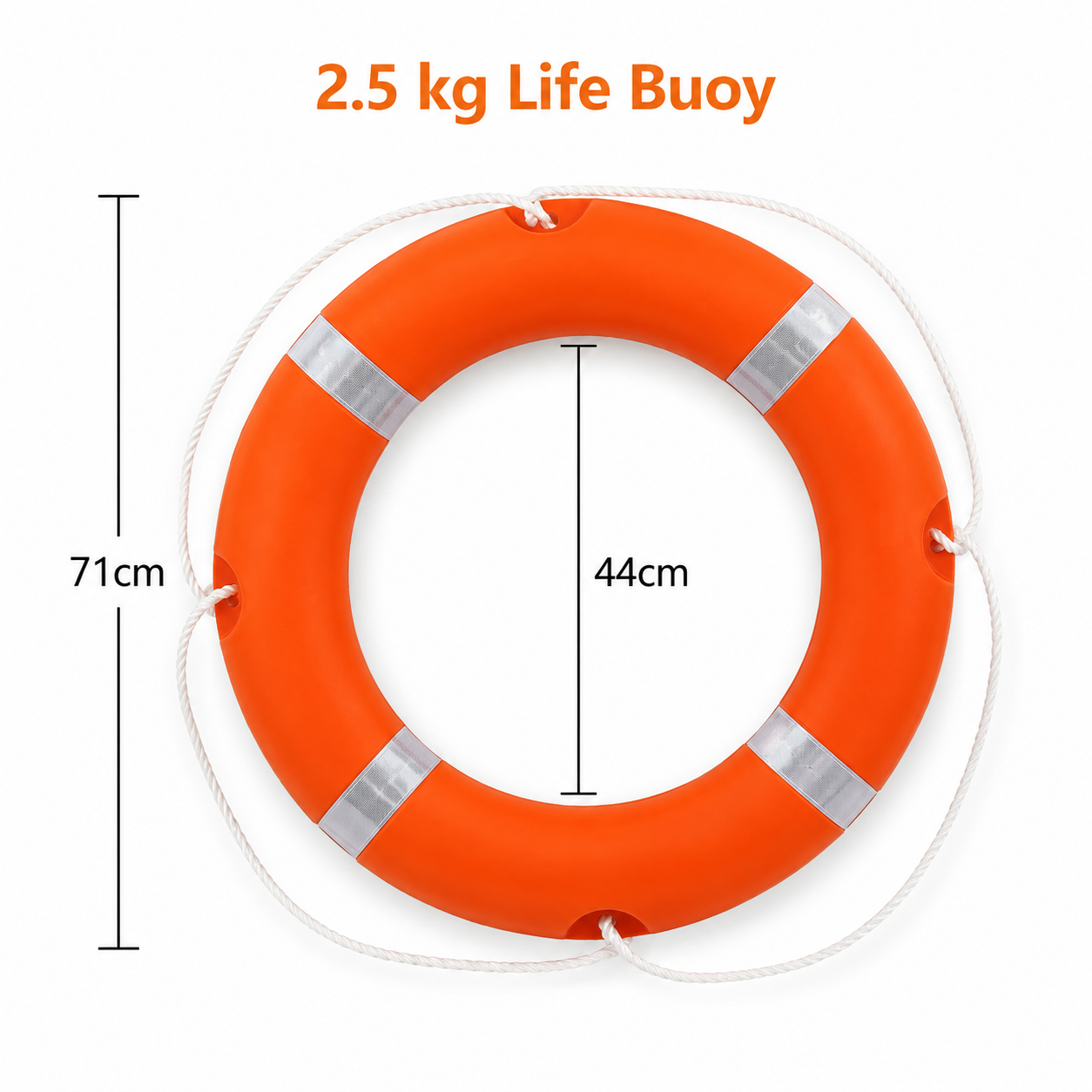 Pool Lifebuoy Weight 2.5 kg