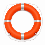 Pool Lifebuoy Weight 2.5 kg