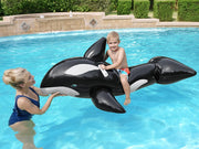 عوامة أوركا قابلة للركوب للأطفال 203 × 102 سم | Bestway Inflatable Orca Ride-On